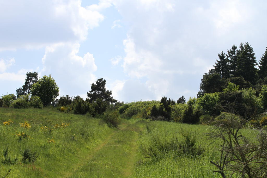 Ferienwohnung Birkenhof Volkesfeld Εξωτερικό φωτογραφία